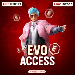  E Badge & Evo Access